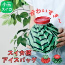 アイスバッグ 氷のう 繰り返し使える冷却グッズ 熱中症対策 持ち運び 冷感 熱中症対策 暑さ対策 ケガ おしゃれ 発熱 スポーツ 夏フェス アイスバッグ S