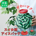 アイスバッグ 氷のう 繰り返し使える冷却グッズ 熱中症対策 持ち運び 冷感 熱中症対策 暑さ対策 ケガ おしゃれ 発熱 スポーツ 夏フェス アイスバッグ M(大玉サイズ)