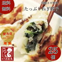 \父の日ギフト/【送料無料】冷凍餃子 昇龍庵たっぷりねぎ餃子 25個