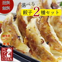 \父の日ギフト/【送料無料】選べる餃子2種セット