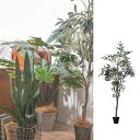 ◆法人様限定【メーカー直送】 【代引不可】 【同梱不可】 【返品不可】人工観葉植物 フェイクグリーン オリーブツリー po-80954