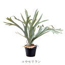 ◆法人様限定【メーカー直送】 【代引不可】 【同梱不可】 【返品不可】人工観葉植物 フェイクグリーン コウモリラン po-80977