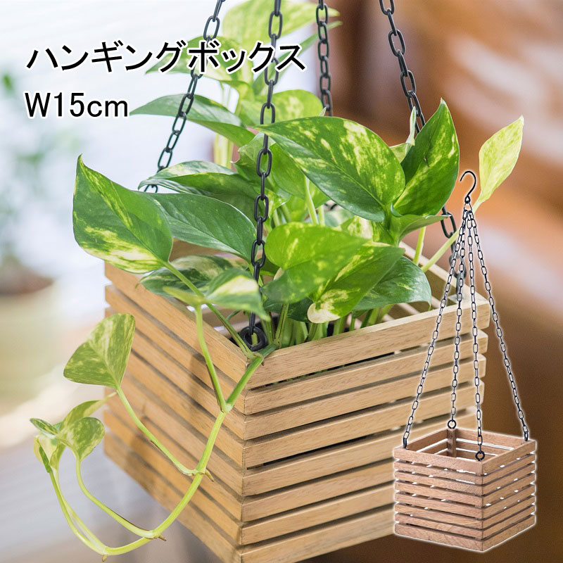 乐天商城 - 吊り鉢 植木鉢 壁掛け 吊り下げ ハンギングボックス