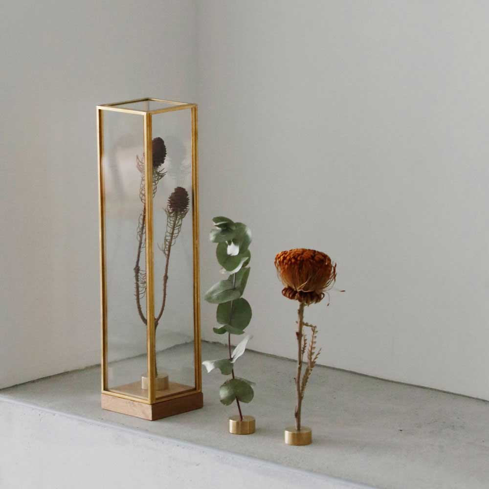 BRASS ե졼 ǥץ쥤BOX ȡ ٤2size Horn Please 