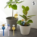 水のやり忘れを防いでくれる ガラスのディスペンサー S Horn Please 志成販売