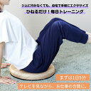 ◆\父の日ギフト/健康グッズ 運動不足 解消 体幹 トレーニング 自宅 トレーニング グッズ 回転 クッション ダイエット ツイスト運動 ながら運動 バランス くびれ 骨盤 ストレッチ フィットネスクッション 隙間時間 おうちエクササイズ メタボ ツイストクッション(3)