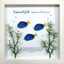 ZAKKA-ART(アクア) 雑貨アート Aqua Frame Blue Tang