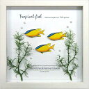 ZAKKA-ART(アクア) 雑貨アート Aqua Frame Bluefin damselfish