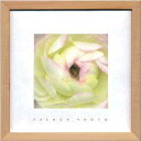 ZAKKA-ART(FRENCH PHOTO) 雑貨アート FRENCH PHOTOGRAPHY Ranunculus