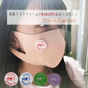 【メール便送料無料】 抗菌 穴の開かないマスクチャーム 「WAKUPITA」(わくぴた) 3カラーセット ( アソート)