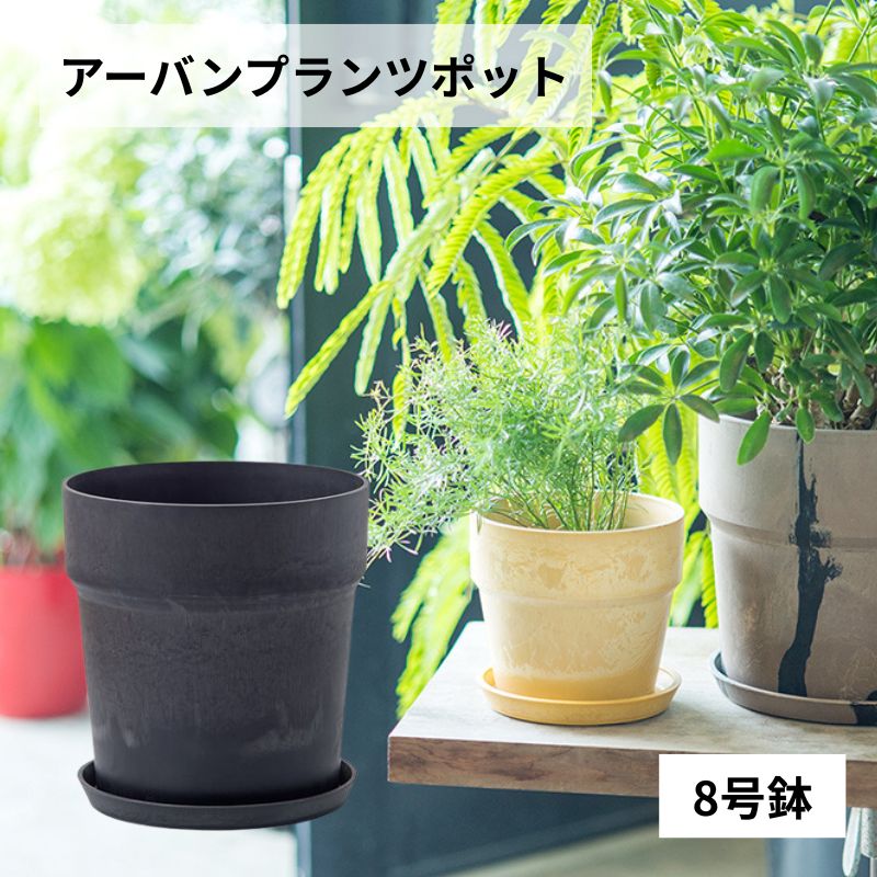 乐天商城 - プランター 植木鉢 エコ素材 プランター 8号 8号鉢 軽い おしゃれな インテリア 植木鉢 鉢 鉢カバー受け皿付き 底穴あり 鉢植え アーバンプランツポット ソリッド 8号サイズ チャコール