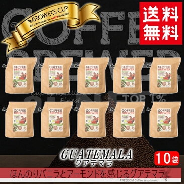 グロワーズカップ グアテマラ 1カートン(10パック) GROWER'S CUP フェアトレードコーヒー ドリップコーヒー 【キャンプ アウトドア フィッシング 携帯 本格ドリップコーヒー】