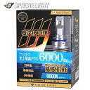 SPHERE/スフィアライト 4輪用 RIZING3 H8/H9/H11/H16 12V用 6000K 日本製 耐震 ヒートシンク 防水 防塵 IP6K9K S...