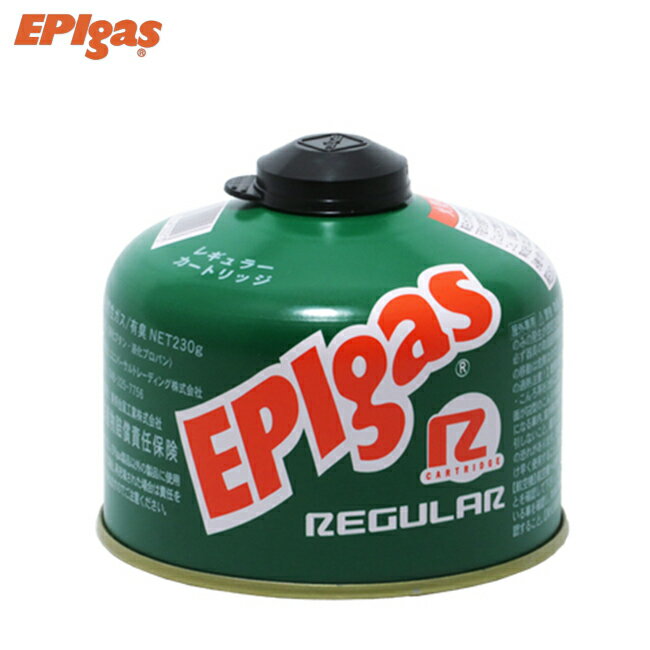 燃料 EPIgas EPIガス 230レギュラーカー