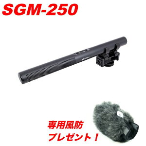 【専用風防プレゼント!】 AZDEN アツデン SGM-250 ガンマイク通販