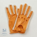 yCLEARANCE 2024zi [ / MEROLA GLOVES [  ibp x Rbgjbg҂ hCrOO[u nhCh ʒf }_IW me929008-31