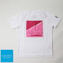 COURSE（コース）COPPA DI クラシックカー プリント 半袖Tシャツ CR213002-14