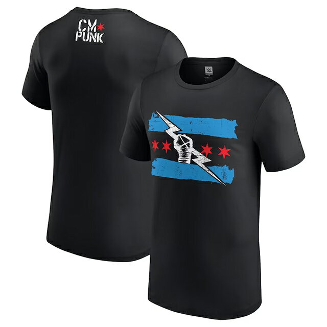 海外取寄 CMパンクモデル WWE AUTHENTIC Tシャツ RETURN OF CM PUNK T-SHIRT 23_12_ RAW SMACKDOWN プロレス