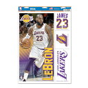 ウィンクラフト ステッカー レブロン ジェームスモデル ロサンゼルス レイカーズ 【NBA LOS ANGELES LAKERS LEBRON JAMES DECAL】 WINCRAFT for3000 2020 NBA FINALS 21_1RE