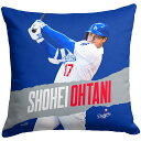 大谷翔平モデル 海外取寄 クッション ロサンゼルス ドジャース MLB PRINTED THROW PILLOW ROYAL BLUE THE NORTHWES...