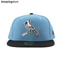 ニューエラ キャップ 59FIFTY セントルイス カージナルス MLB 2T TEAM BASIC FITTED CAP LIGHT BLUE CHARCOA...