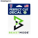 ウィンクラフト ステッカー ビーストモード 【PERFECT CUT DECAL】 WINCRAFT BEASTMODE /GRN for3000 21_11_3BST