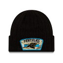 ニューエラ ニット ビーニー カロライナ パンサーズ 【NFL 2021 SALUTE-TO-SERVICE KNIT BEANIE/BLACK】 NEW ERA CAROLINA PANTHERS ブラック [/BLK 21_10_4NE]