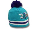 ミッチェル＆ネス MITCHELL&NESS CHARLOTTE HORNETS 【XL-LOGO BEANIE/TEAL】 ミッチェル＆ネス シャーロット ホーネッツ ニット帽 ビーニー [NBABEANIE]