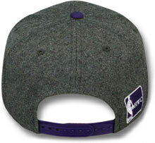 NEW ERA TORONTO RAPTORS 【FLANNEL SNAPBACK/GREY-PUR】 ニューエラ トロント ラプターズ 9FIFTY スナップバック [17_10_1SNA 17_10_2 17_10RE]