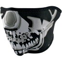 HALF MASK CHROME SKULL