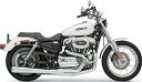 Bassani ロードレイジ 2in1マフラー 2004~22年ポーツスター