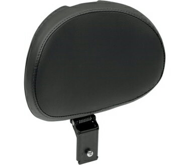 Danny Gray ドライバーバックレスト：AIRHAWK BIGSEAT装着車