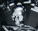 SKULL ホーンカバー:2017年以降純正ウォーターフォールホーンカバー装着車/クローム