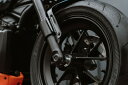 フロントアクスル カバーセット:2021年以降RH1250S