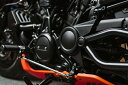 スイングアームアクスル カバーセット:2021年以降RH1250S