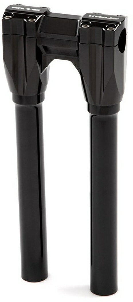 ISOLATED ライザー：ブラック/12インチ