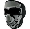 FULL FACEMASK Chrome Skull