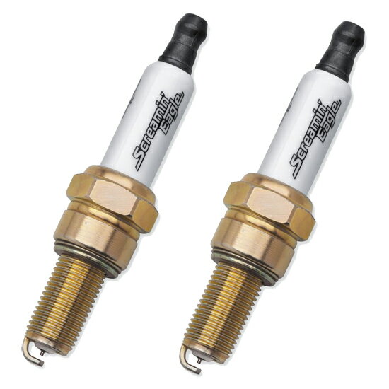 スクリーミンイーグル パフォーマンススパークプラグ：2017年以降M-EIGHT、2015〜20年XG/標準圧縮仕様