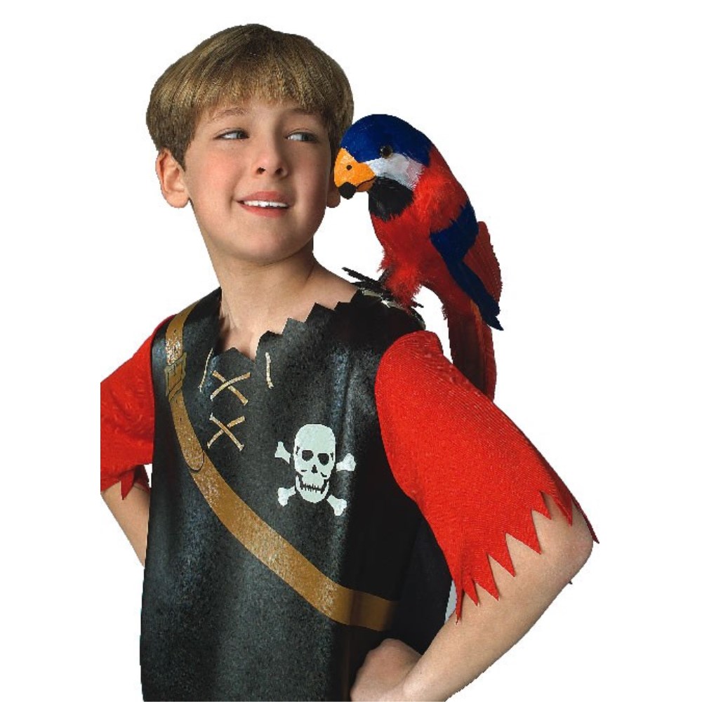 オウム　鳥　動物　海賊　コスプレのサムネイル
