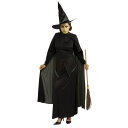 魔女　オズの魔法使い　衣装、コスチューム　大人女性用　The Wizard of Oz Wicked Witch　コスプレ