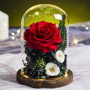 10色展開 誕生日 女友達 ギフト プリザーブドフラワー バラ 一 ハート型 ギフト おしゃれ ブリザードフラワー ガラスドーム 記念日 誕生日プレゼント 枯れ...