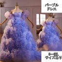 パープル パーティードレス カラードレス ティアードスカート 二次会ドレス フォーマルドレス二次会 前撮り ドレス ウェディングドレス 二次会 2次会 成人式 同窓会 謝恩会 大学生 服装 入学式 卒業式 ワンピース 結婚式 お呼ばれ ドレス 演出舞台 大きいサイズあり
