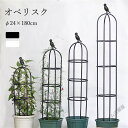 オベリスク 支柱 トレリス 高さ調節可能 Φ24/29cm×高120/150/180cm 操作簡単 簡易組立式 つる性植物 つる花 バラ用 ガーデン 支柱 花支...