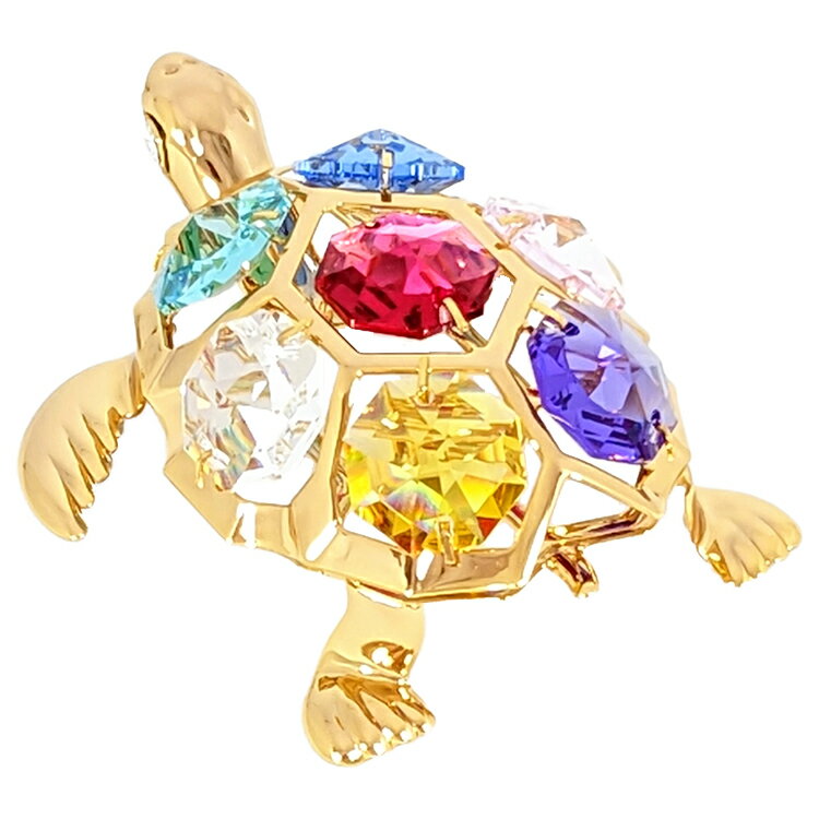 turt1_1_2.jpg turt1_1_2.jpg