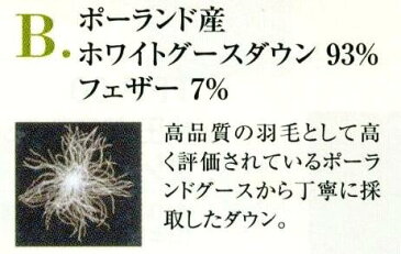 【ムレもダニも追放＆アトピー協会推奨ロイヤルスター】セミダブル西川羽毛布団ポーランドグースダウン93％175×210cm24plus06725【受注生産】