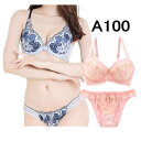 大きいサイズ ブラジャー ブラ ショーツ アンダー 100 ブラショーツセット 大きいサイズ 大きい アンダーバスト A100 ブラジャー ブラ 大きいサイズ ...