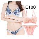 大きいサイズ ブラジャー ブラ ショーツ アンダー 100 ブラショーツセット 大きいサイズ 大きい アンダーバスト E100 ブラジャー ブラ 大きいサイズ ブラショーツ 上下セット E100(4)