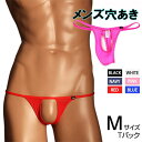 TM Collection Tバック メンズ セクシー 穴あき メンズ Tバック フロント ホール STRIKESKIN x WET 男性 下着 セクシー TMコレクション 565506