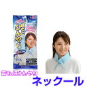 熱中症 首筋ヒンヤリ ネックール W2 ブルー