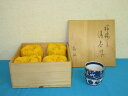 【未使用品】 福仙 湯呑 5客セット 共箱付 湯呑揃 湯呑みセット 和食器 陶器 松竹梅 青 白